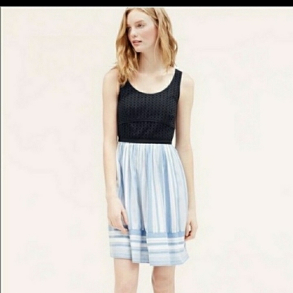 NWOT Loft petite dress